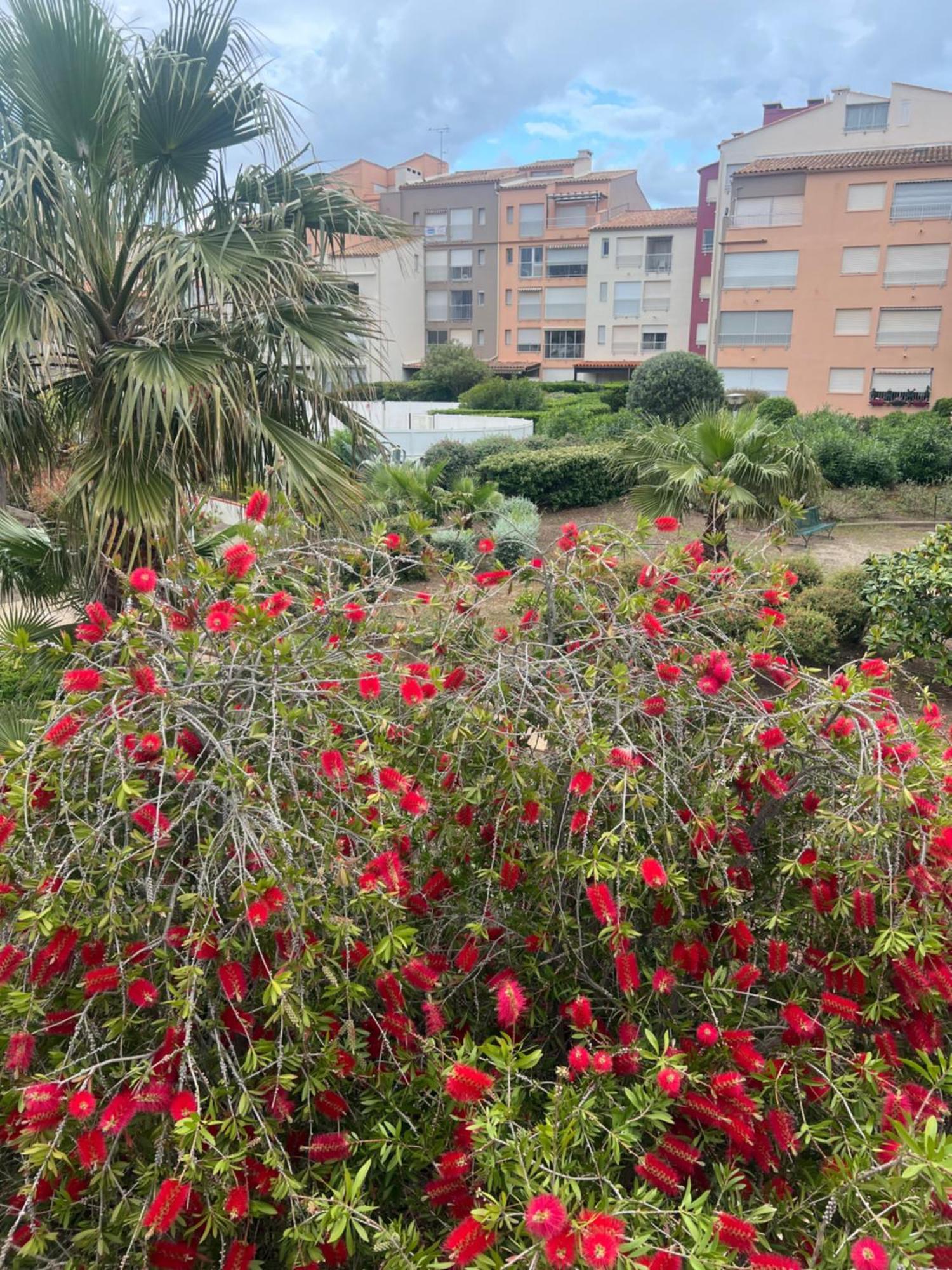 Residence Le Pharo Agde Esterno foto
